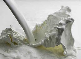 Latte, Confagricoltura: costi di produzione lievitati. Trattative per il nuovo accordo sul prezzo