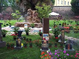 Domenica 2 giugno "Crema in fiore"