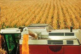Anticipo Pac, dalla Regione subito il 70%