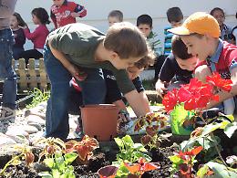 Fiori per la maestra Marina