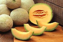 Futuro del melone, Opo Bellaguarda e problema nutrie al centro dell'incontro con fava