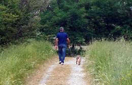 Ecco recinti e 'dog box'
Crema a misura di cane