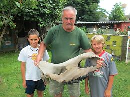 Cranio preistorico ritrovato in riva al Po