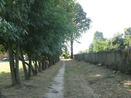 Rfi, altra violenza ecologica Salviamo l’ultima pianta