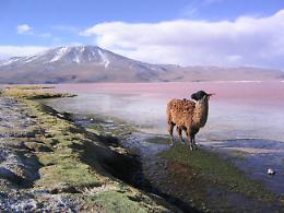 Dalla Bolivia alla Namibia ... reportage fotografici al Cral