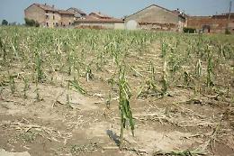 Nubifragio, azienda distrutta