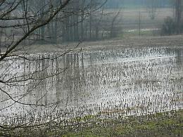 Dichiarato lo stato di calamità