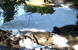 Allarme inquinamento sul Serio
Schiuma bianca sul fiume