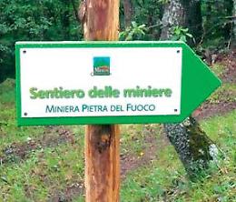 Miniera, cinghiale e funghi: escursioni nel prossimo weekend
