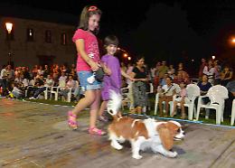 Notte degli Oscan, successo a quattro zampe
