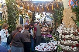 ‘Fiera dell’aglio’ a Monticelli d'Ongina, da giovedì 3