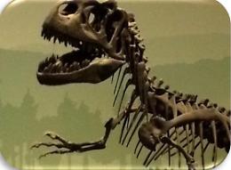 Identikit di un dinosauro al Museo di Storia Naturale di Milano 
