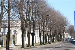 Bare all'aperto, il Comune: "Proficuo l'incontro con Socrem"