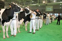 68° Fiera Internazionale del Bovino da Latte a Cremona