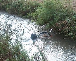 In bici nel canale, salvato da due passanti