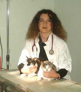 Altri due gatti avvelenati, trovati agonizzanti e salvati