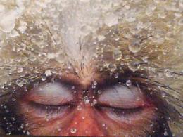 Tornano a Milano le 100 immagini mozzafiato del WILDLIFE PHOTOGRAPHER OF THE YEAR 
