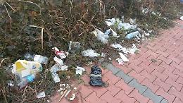Discariche a cielo aperto lungo la Sabbionetana