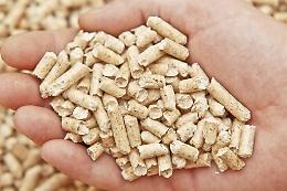 Pellet, truffa e denunce