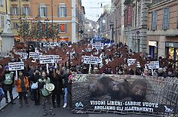 Basta gabbie per gli animali: grande manifestazione a Modena