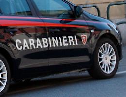 Cane ingabbiato nell'auto, cremonese denunciato