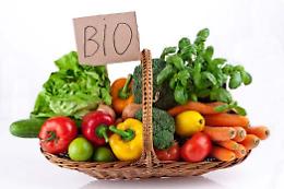 Incontri sull’agricoltura biologica a Casalmaggiore