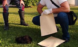 Rapinatore con la parrucca
Un'altra condanna
