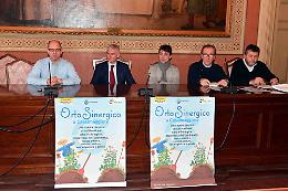 Al via l'orto sinergico