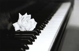 Beethoven e le 32 Sonate per pianoforte al Filo