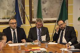 Internet, arriva la banda larga nell'area Olivetti