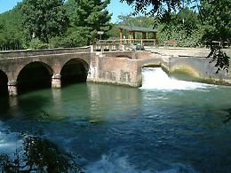 Visita guidata storico-naturalistica a "Le tombe morte" a Genivolta