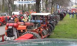 A Cortemaggiore è tempo di fiera
