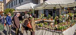 Brescia, sboccia la primavera con Brixia Florum