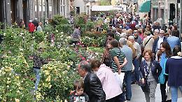 Con 'Le Invasioni Botaniche'
in centro sboccia la primavera