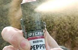 Aggredita con lo spray
e scippata di 3mila euro