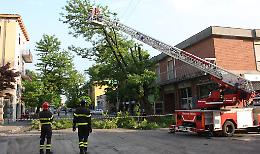 Albero pericolante, vigili del fuoco in azione