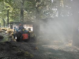 Paura al maneggio, animali salvati dall'incendio