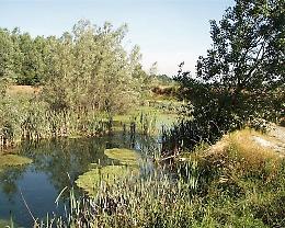 Aumenta la superficie del Parco del Serio