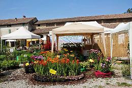  ''Ortocolto'' -  Festa-mercato della biodiversità a Busseto