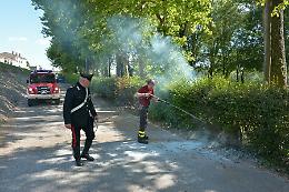 Piumini dei pioppi in fiamme, doppio intervento dei pompieri