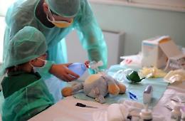 Torna l'Ospedale dei pupazzi: sabato in piazza Roma