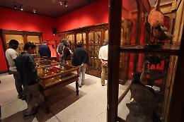 La Notte dei Musei a tutta arte