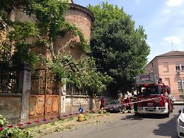 Ramo cade sui cavi elettrici, intervento dei vigili del fuoco