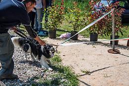 Un parco per i nostri amici a quattrozampe