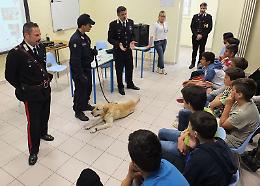 A scuola con Jocker, cane antidroga
