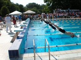 Trofeo Stradivari di nuoto, è l'edizione numero 14