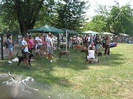 Giancadog, folla e spettacolo per la mostra canina
