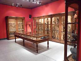 La natura protagonista di due mostre al Museo di Storia naturale di Cremona