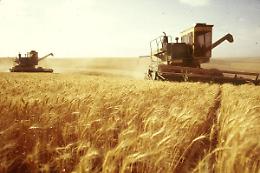Agroalimentare, Confagricoltura: "Annus horribilis per il comparto"