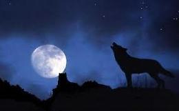 Tra lupi e pipistrelli... lunate ed escursioni al Rifugio Lagdei